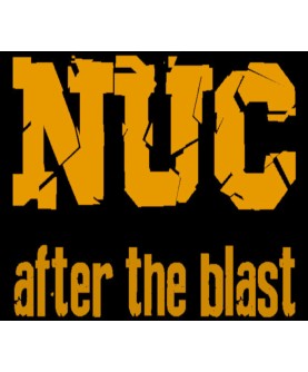 NUC: After The Blast Steam Key GLOBAL